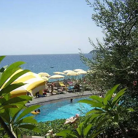Paradiso 4*